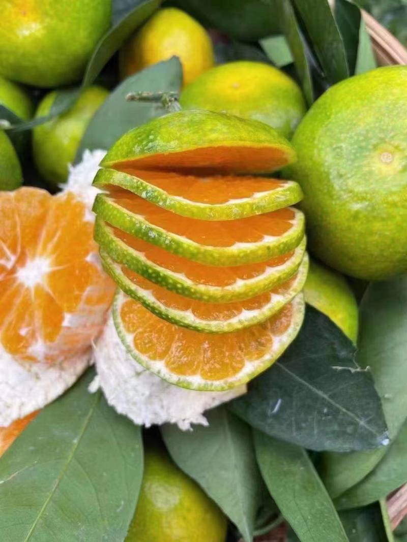 《湖北柑橘》精品特早蜜橘大量上市皮薄肉甜，量大从优