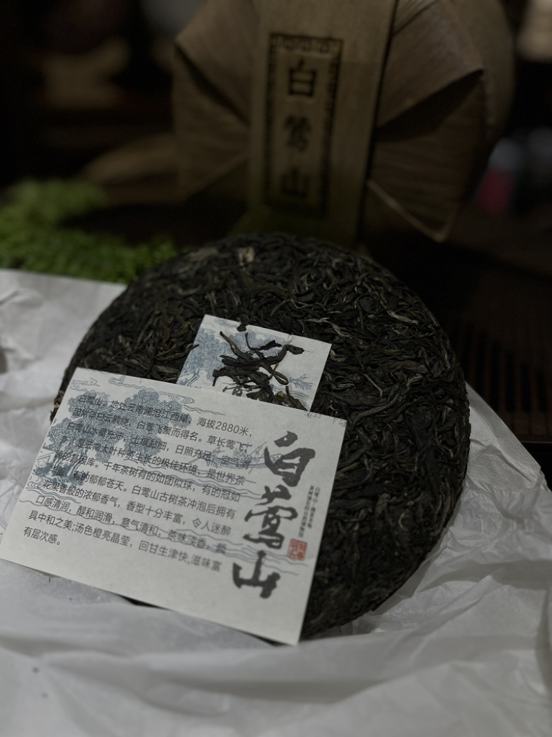 云南普洱古树普洱生茶临沧茶区古树普洱品质厂家