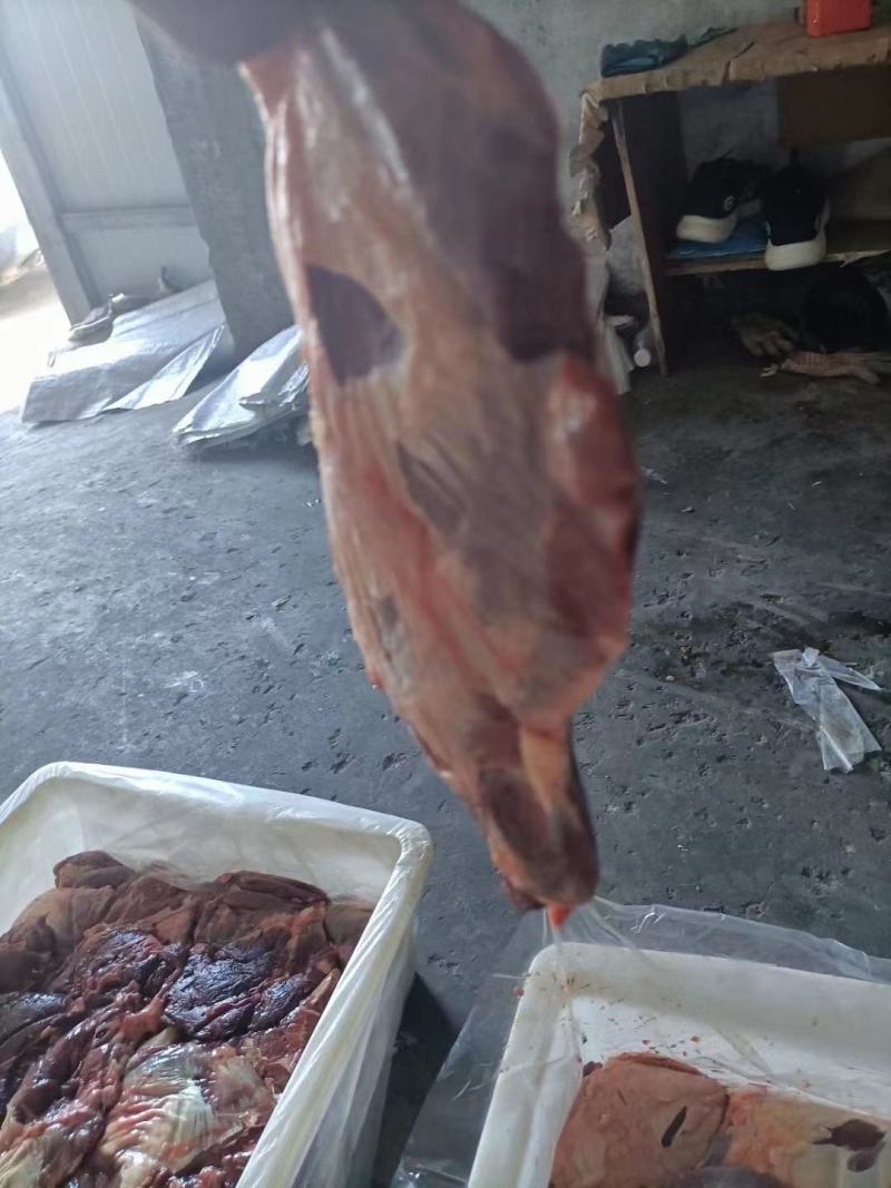 【牛大脸】黄牛大脸肉，支持一件样品发货