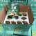 翠香猕猴桃，绿心猕猴桃，电商供应，大量供应