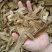 木香片干货香辛料