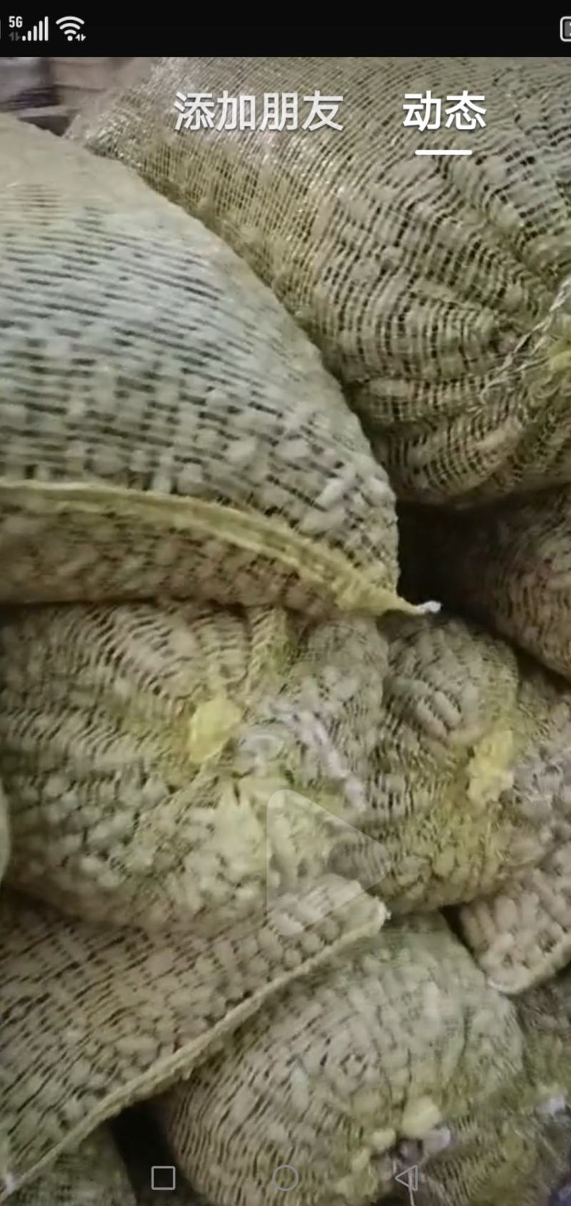鲜花生
