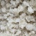 新货！爆米花拉丝雪燕