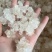新货！爆米花拉丝雪燕