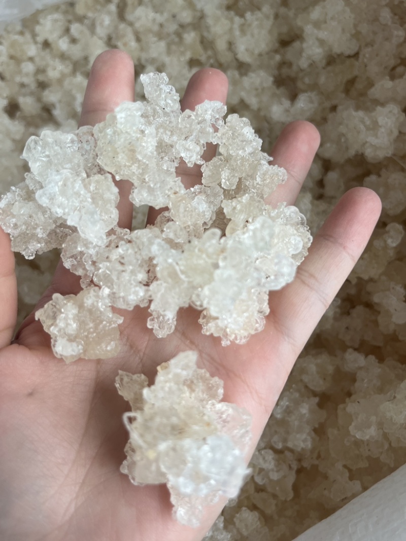 新货！爆米花拉丝雪燕