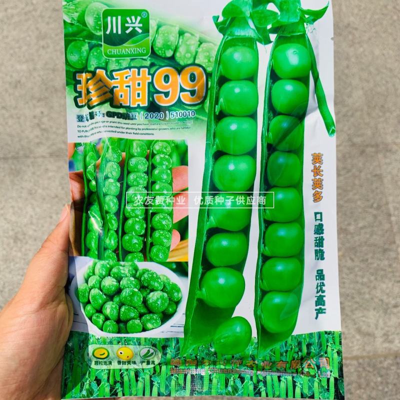 珍甜99豌豆种子水果豌豆种子口感甜脆纤维少荚长荚多豌豆仁