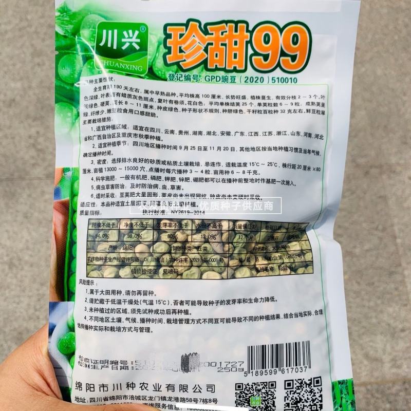 珍甜99豌豆种子水果豌豆种子口感甜脆纤维少荚长荚多豌豆仁