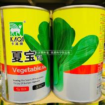 卡其牌夏宝青梗菜种子四季蔬菜种子抗热耐湿小青菜种子