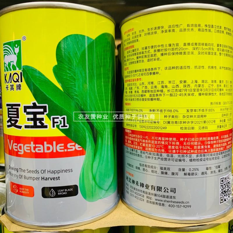 卡其牌夏宝青梗菜种子四季蔬菜种子抗热耐湿小青菜种子