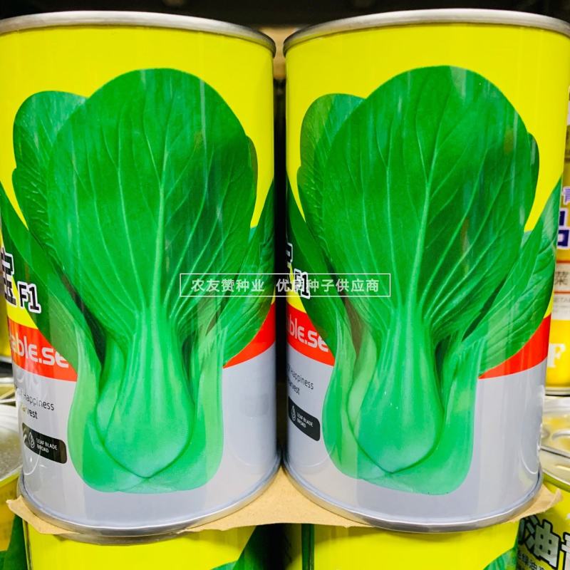 卡其牌夏宝青梗菜种子四季蔬菜种子抗热耐湿小青菜种子