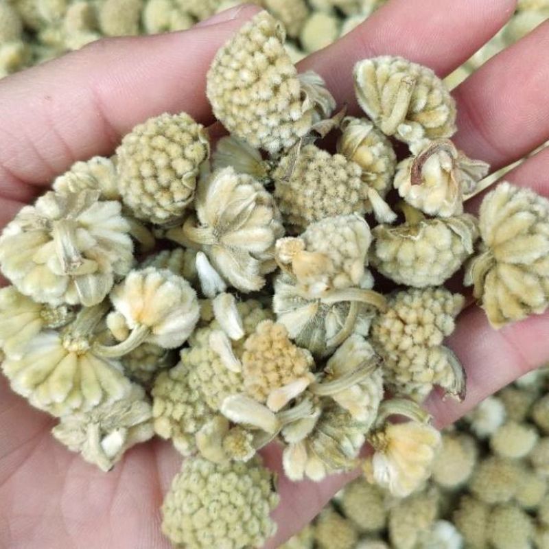 绿萝花西藏野生大朵特级绿萝花雪丽花可搭苦瓜茶桑叶茶高血压