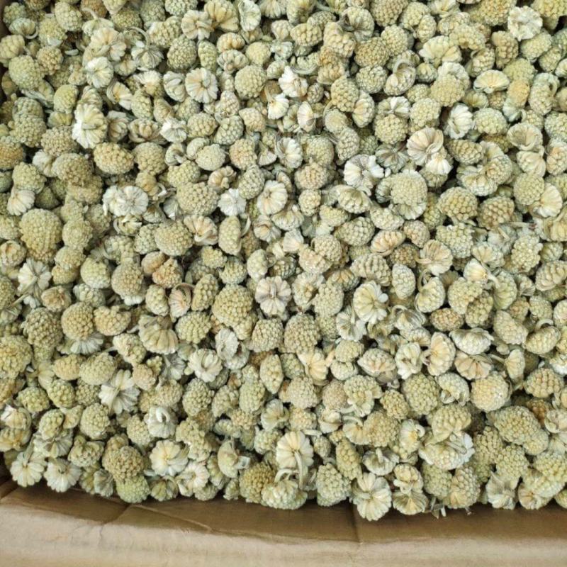 绿萝花西藏野生大朵特级绿萝花雪丽花可搭苦瓜茶桑叶茶高血压