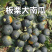 南瓜板栗南瓜,内蒙古板栗南瓜武川南瓜产地一手货源