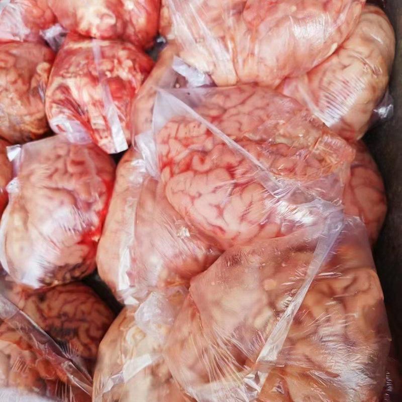 鲜冻牛脑髓单个独立包装质量好价格不高几米一斤