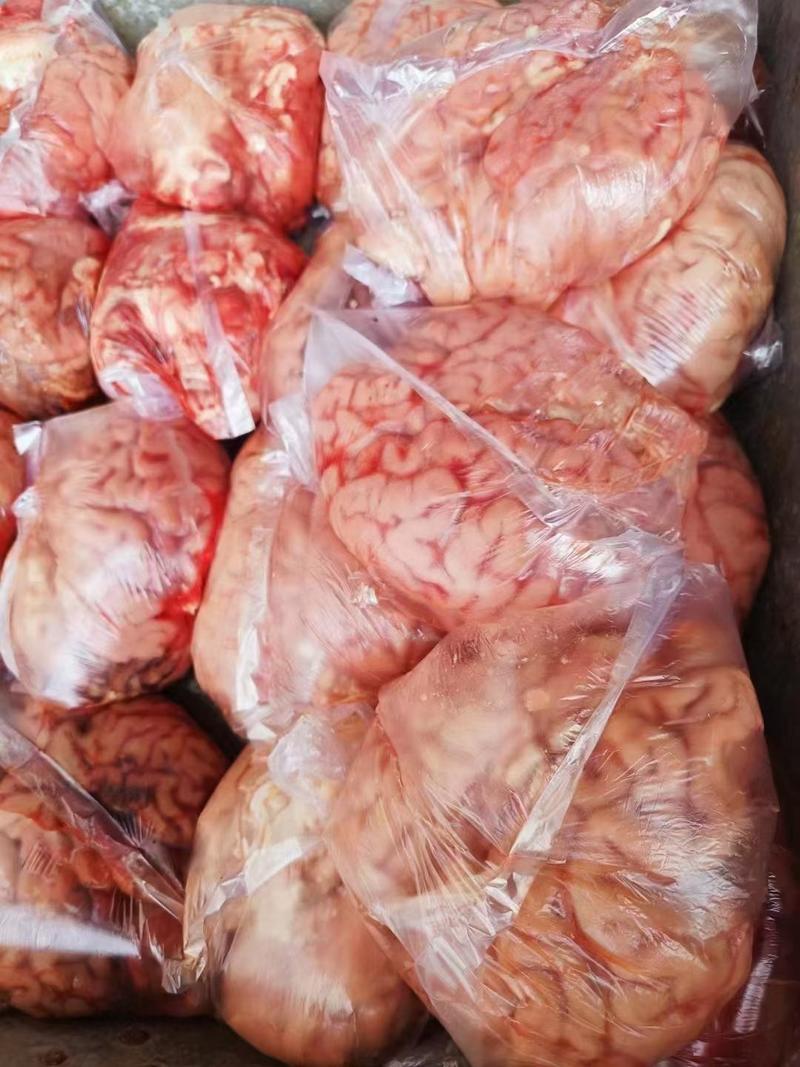 鲜冻牛脑髓单个独立包装质量好价格不高几米一斤