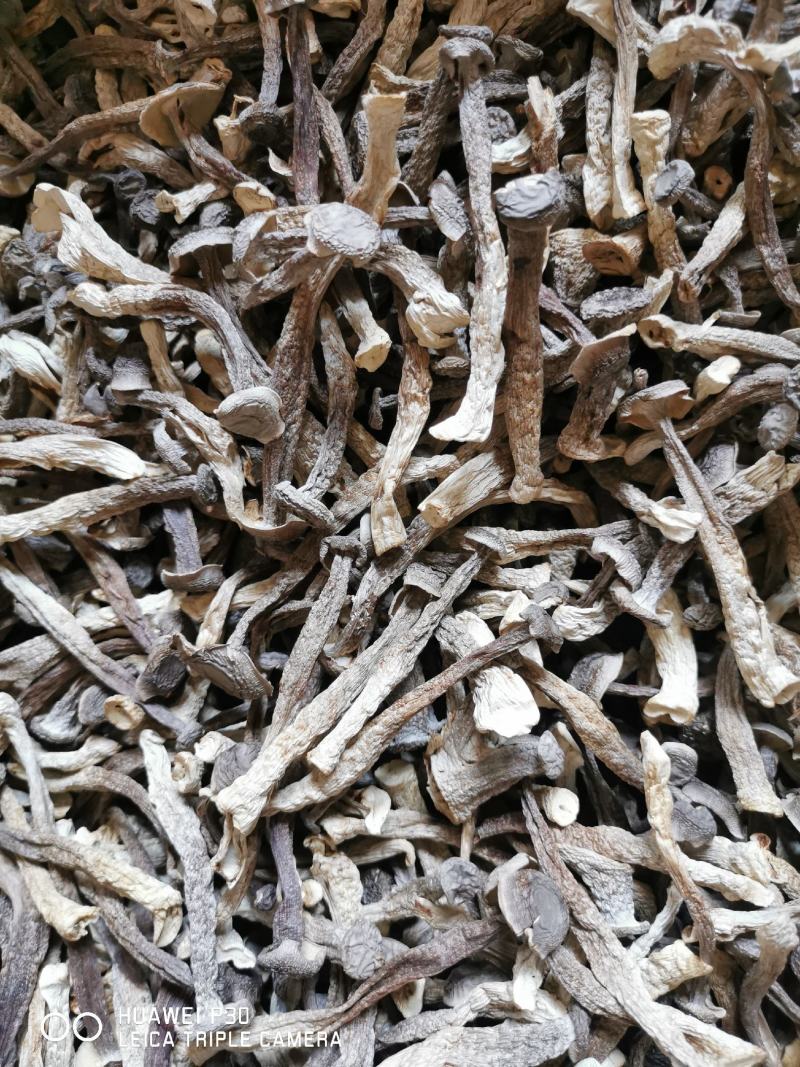 【精品】鹿茸菇，菌汤包，支持一件代发，质量保证