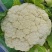 精品花菜棵大饱满湖北花菜产地直发货源充足量大从优