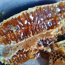 丽江老君山野生蜂蜜，品质保证，需要的请联系。