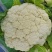 精品花菜棵大饱满湖北花菜产地直发货源充足量大从优