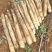 广西山药/白鬼淮山药,本人种植400亩,全国发货,产地价