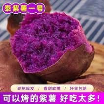 精品紫薯泰紫薯一号货源充足量大从优质量保证欢迎咨询