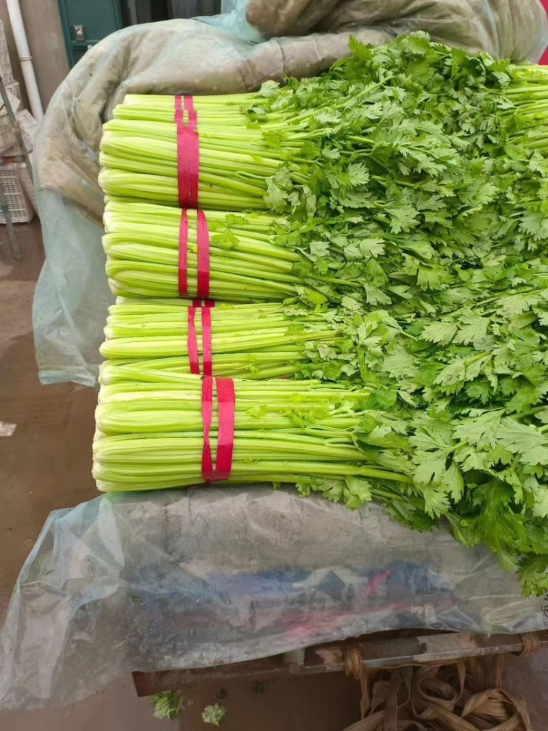 精品意大利