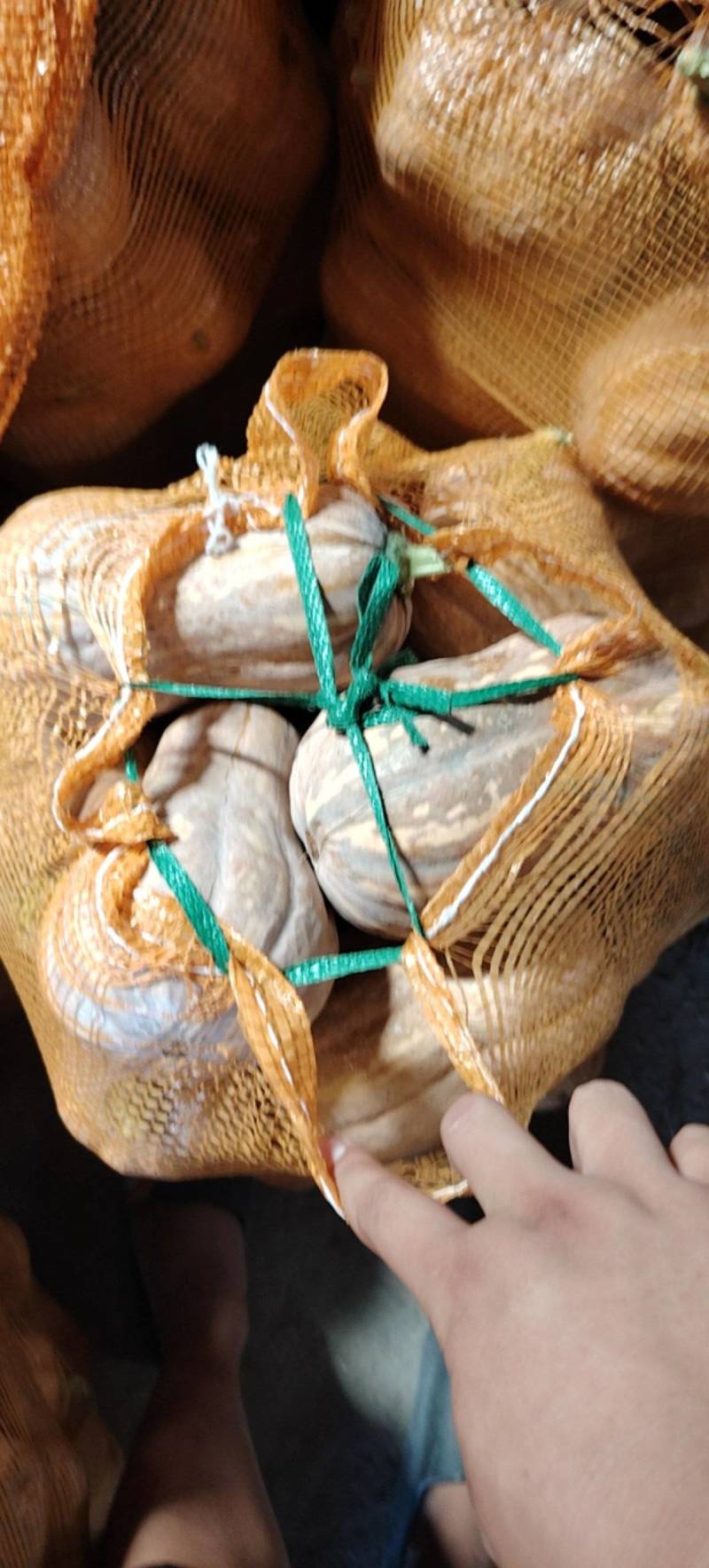 金香南瓜，小金香南瓜大量上市了，色泽明艳，口感甜糯可口！