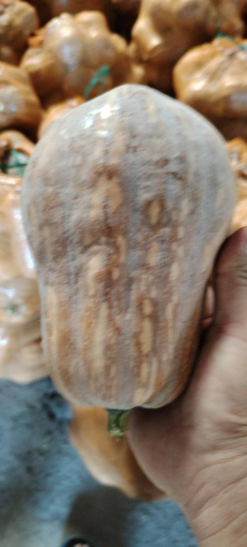 金香南瓜，小金香南瓜大量上市了，色泽明艳，口感甜糯可口！