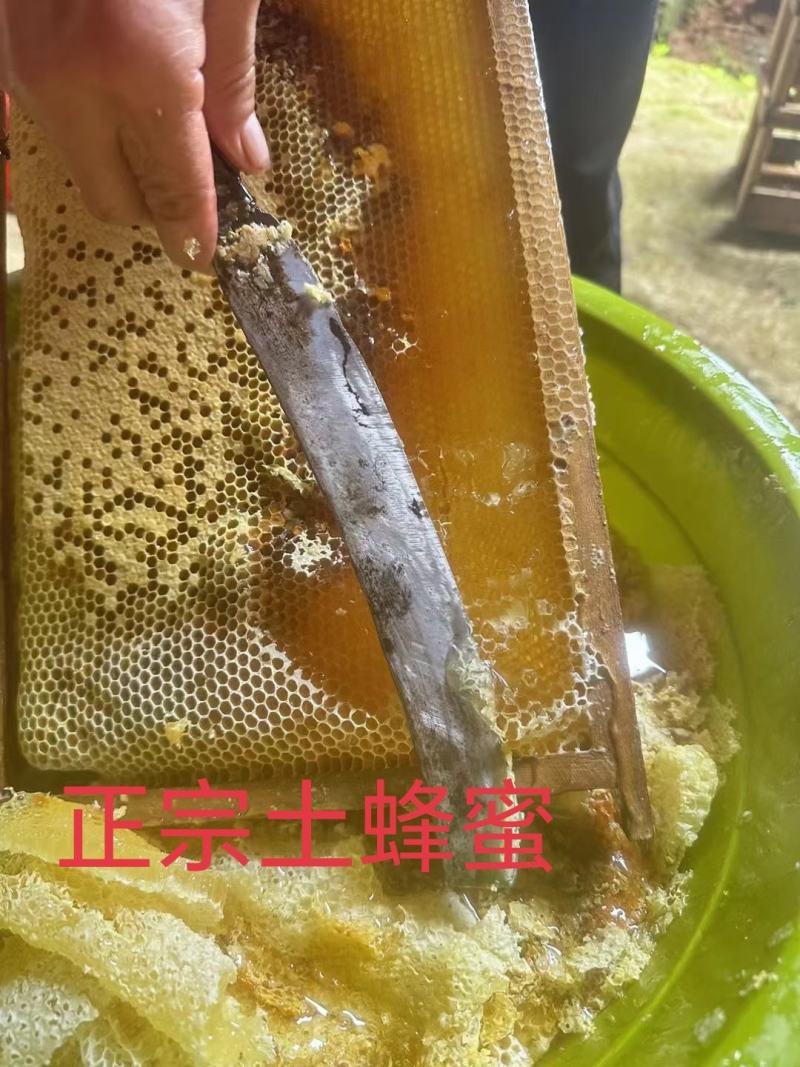 江西农村土蜂蜜山区天然百花蜂蜜欢迎咨询