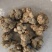 夏天无，无硫，水洗货产地一手货源实拍现货，24小时内发货