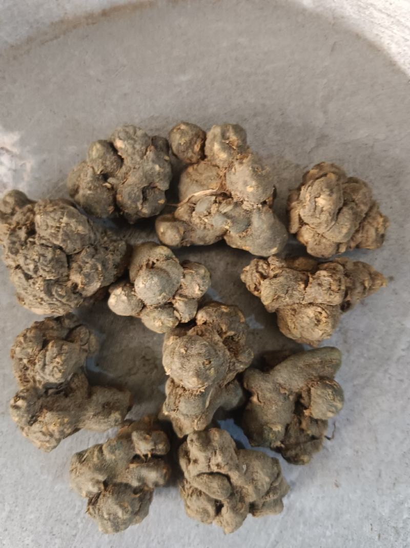 夏天无，无硫，水洗货产地一手货源实拍现货，24小时内发货