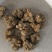 夏天无，无硫，水洗货产地一手货源实拍现货，24小时内发货