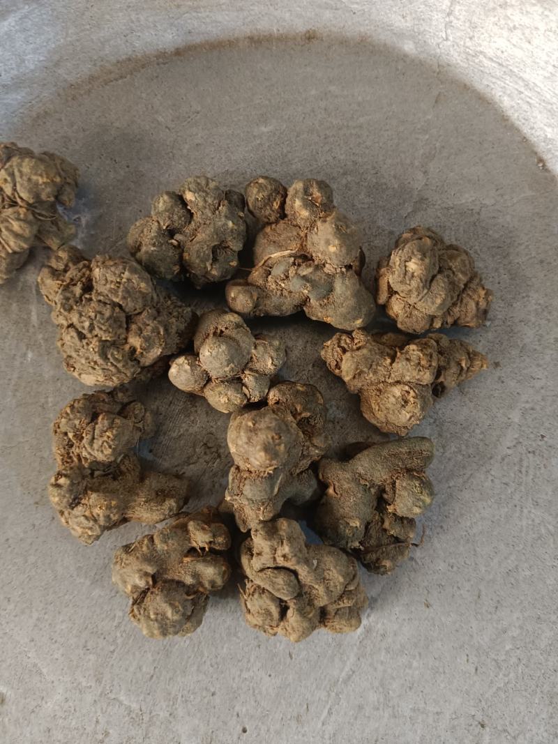 夏天无，无硫，水洗货产地一手货源实拍现货，24小时内发货
