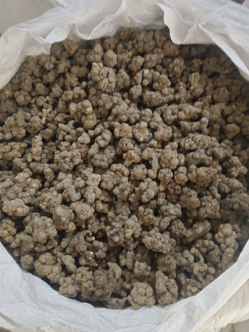 夏天无，无硫，水洗货产地一手货源实拍现货，24小时内发货