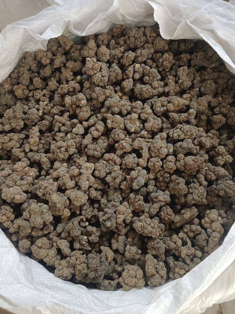 夏天无，无硫，水洗货产地一手货源实拍现货，24小时内发货