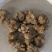 夏天无，无硫，水洗货产地一手货源实拍现货，24小时内发货