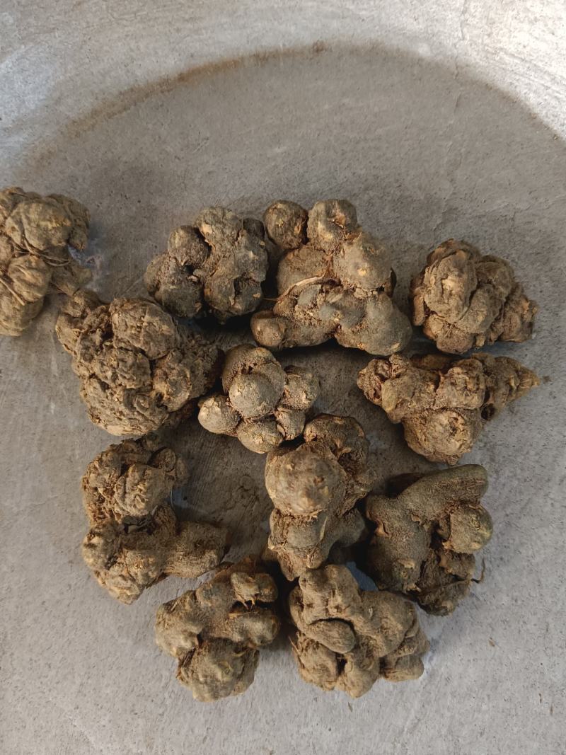 夏天无，无硫，水洗货产地一手货源实拍现货，24小时内发货