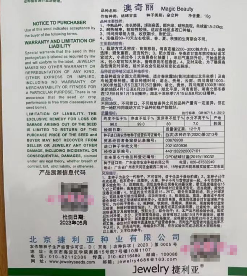 澳奇丽结球甘蓝种子