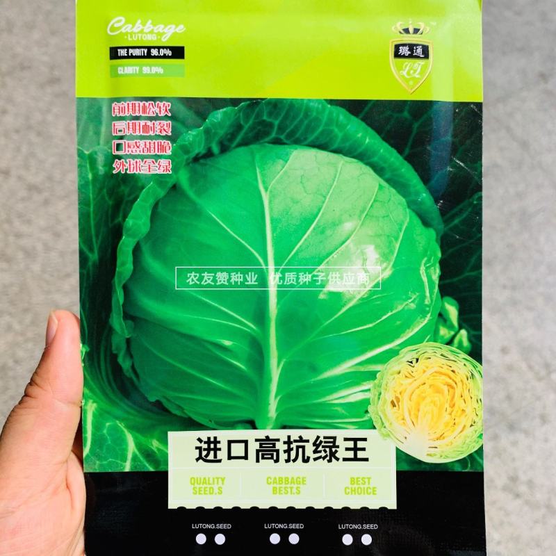 进口高抗绿王甘蓝种子早熟半松甘蓝菜种子口感甜脆圆包菜种子