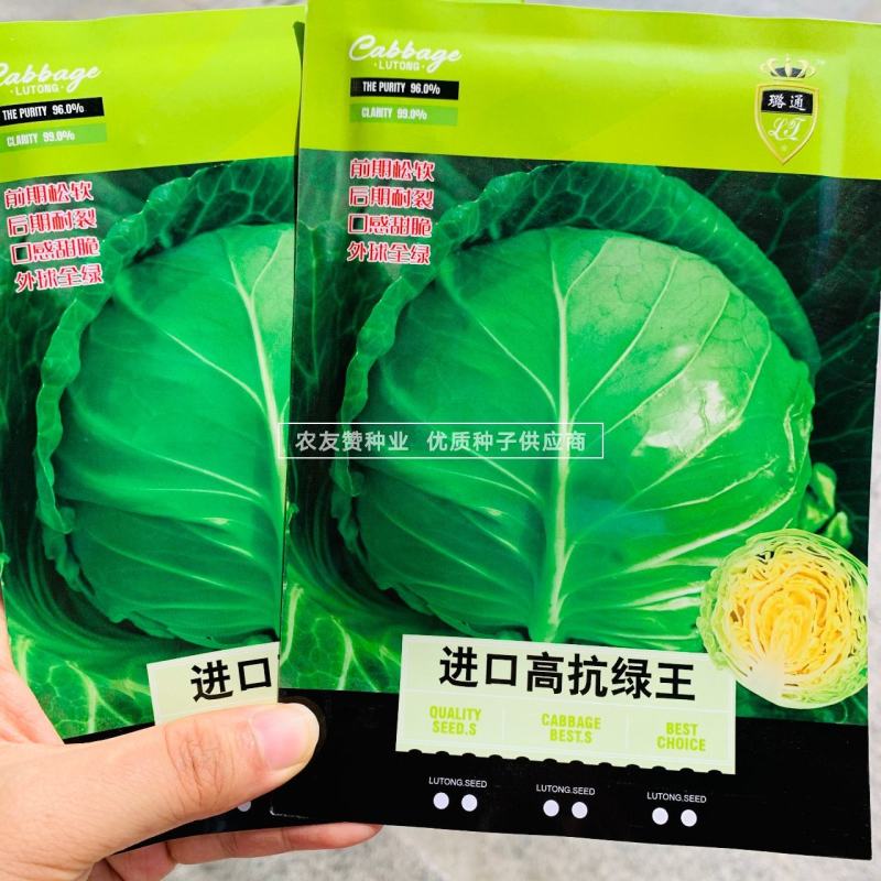 进口高抗绿王甘蓝种子早熟半松甘蓝菜种子口感甜脆圆包菜种子