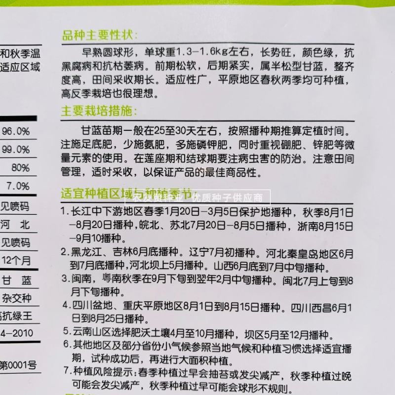 进口高抗绿王甘蓝种子早熟半松甘蓝菜种子口感甜脆圆包菜种子