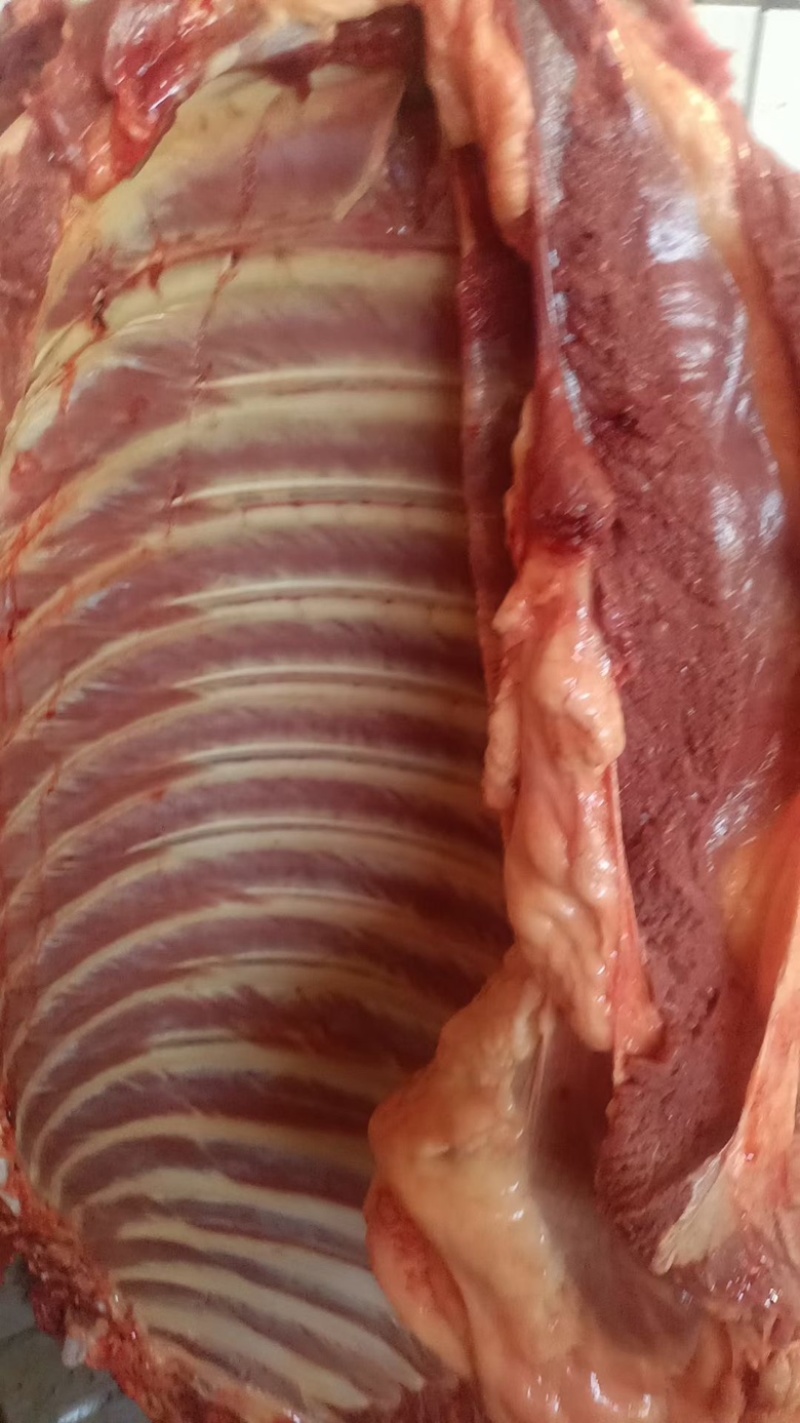 驴肉