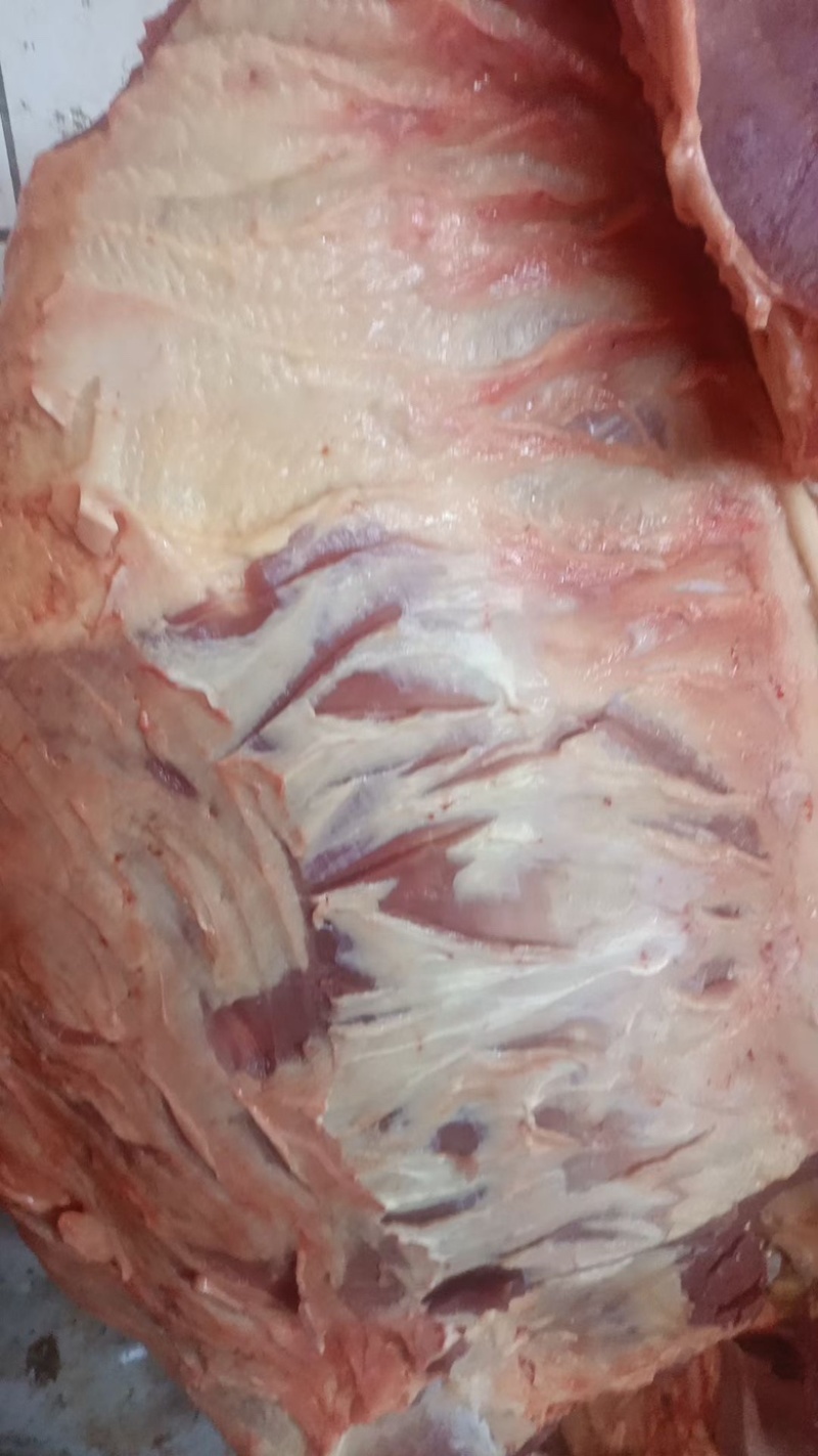 驴肉