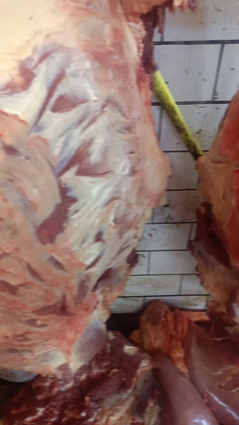 驴肉