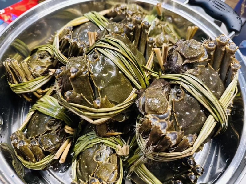 汉川大闸蟹干货母蟹纯原装塘口货喂鱼货
