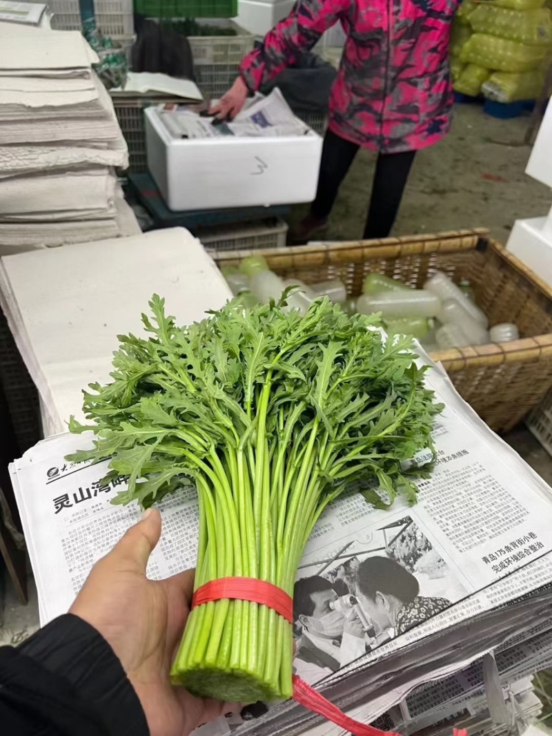 叶生菜