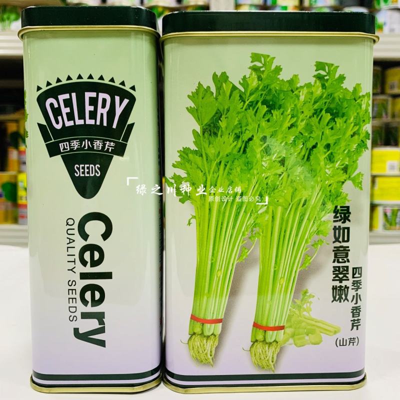 速生四季黄嫩小香芹种子纤维少商品性好抗寒耐热芹菜厂家直销