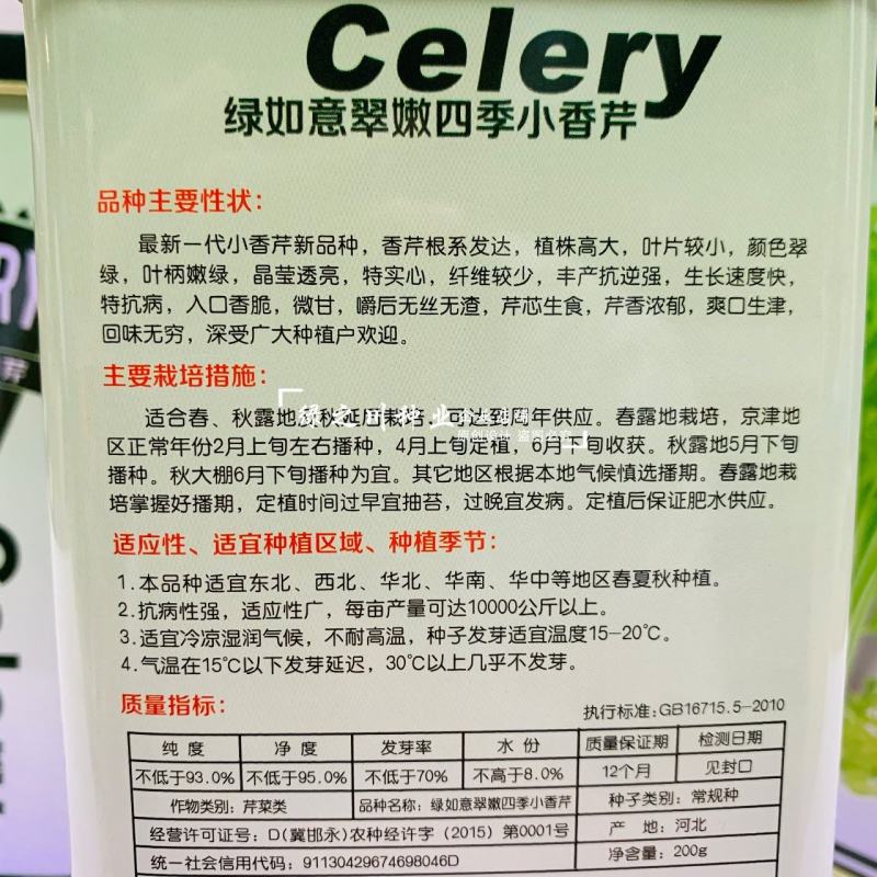 速生四季黄嫩小香芹种子纤维少商品性好抗寒耐热芹菜厂家直销