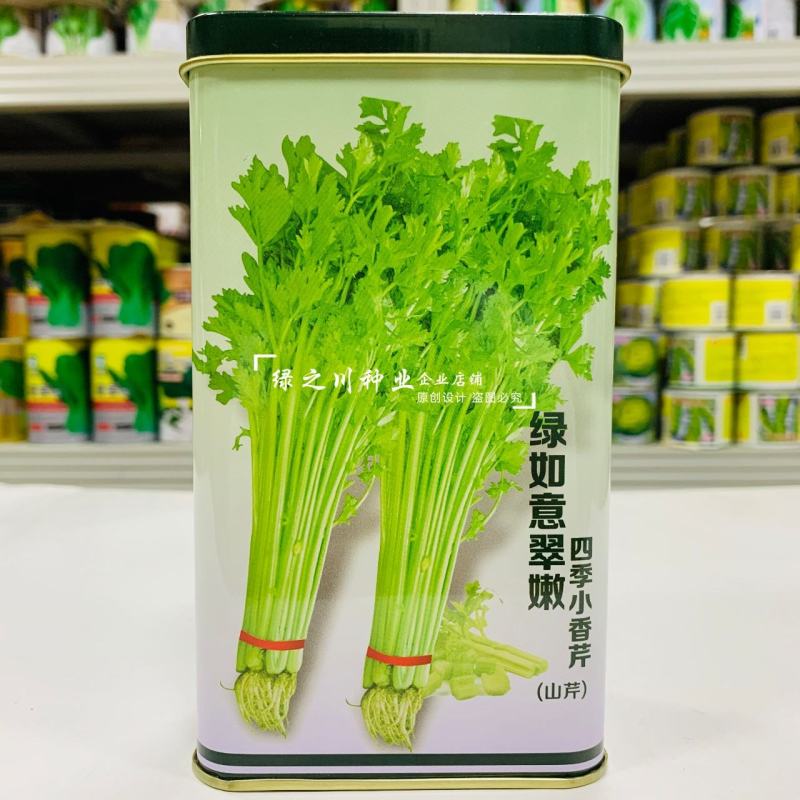 速生四季黄嫩小香芹种子纤维少商品性好抗寒耐热芹菜厂家直销