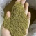 新疆孜然碎